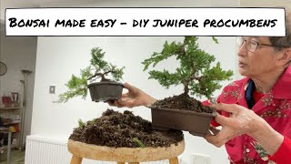 Bonsai Made Easy  DIY Juniper Procumbens [upl. by Latin]