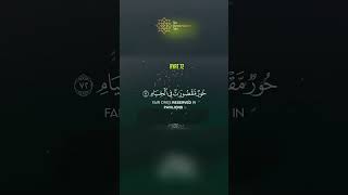 The CALMING Quran Recitation That Will Soothe Your Soul quran shorts [upl. by Enilauqcaj277]