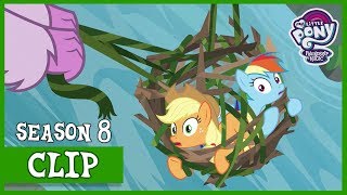 The Young 6 Save Applejack and Rainbow NonCompete Clause  MLP FiM HD [upl. by Cissej918]