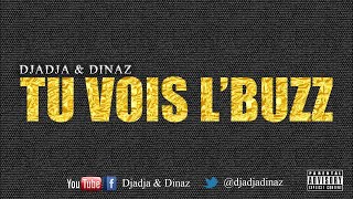 Djadja amp Dinaz  Tu vois lbuzz Audio Officiel [upl. by Mauve]