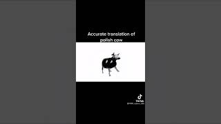 Polish cow lyrics [upl. by Darlleen]