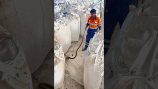 Zinc smelter Dariba salehouse rescued Rat snake  viralshort snakevideo dariba hzl hzldariba [upl. by Maker918]