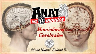 Hemisferios Cerebrales ANATO EN 10 MINUTOS [upl. by Irma]