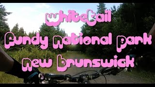 Mountain Biking Whitetail Trail Fundy National Park NB [upl. by Madelene]