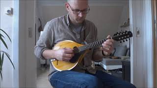 Phoebe´s RestBen Winship  Hartmann A Oval Hole Mandolin [upl. by Oralla]