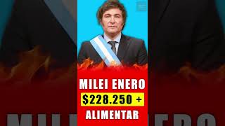 😲quotMILEI 💲228250  TARJETA ALIMENTAR EN ENERO PARA JUBILADOS Y PENSIONADOSquot anses jubilados [upl. by Atrim]