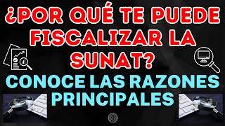 ¿POR QUE TE PUEDE FISCALIZAR LA SUNAT CONOCE LAS RAZONES PRINCIPALES [upl. by Arbba]