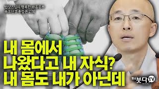 내 몸에서 나왔다고 내 자식 내몸도 내가 아닌데  법상스님 육조단경 통합 27강  불교 상담 인생  법상스님의 행복한 마음공부 [upl. by Husch]