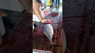 Unbelievable tun fish cutting skill 😱 fastest cutting skill [upl. by Ordisi760]