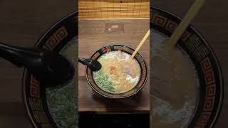 All the things you can do and see in Kyoto Japan kyoto japantravelvlog [upl. by Bornstein679]