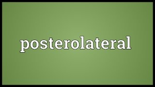 Posterolateral Meaning [upl. by Eimmac]