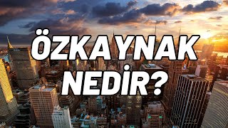 Özkaynak Nedir [upl. by Norga275]