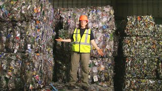 How Recycling Works Behind the Scenes at the MRF [upl. by Harshman]