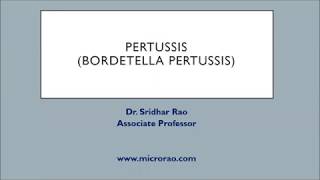 Pertussis online lecture [upl. by Nalniuq]