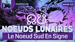 Astrologie Karmique  Interprétation des Nœuds Lunaires Signe Par Signe  Le Nœud Sud 13 [upl. by Amer]