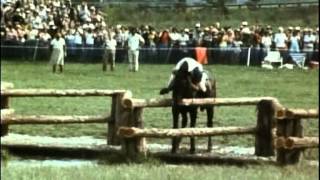 1978 World Eventing Championships  Lexington Kentucky PART 2 [upl. by Osmen]