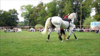 Danse avec les chevaux HD [upl. by Ertsevlis]