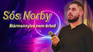 🔥Sós Norby  Bármennyire nem érted  Official Audio 🔥 [upl. by Audun]