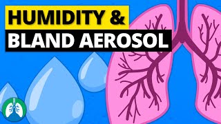 Humidity and Bland Aerosol Therapy  Simple Explanation [upl. by Sonstrom]