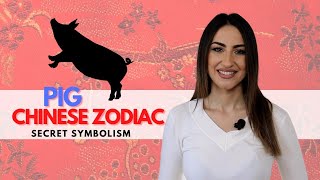 PIG Chinese Zodiac Sign  Everything You Need To Know [upl. by Armilda523]