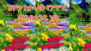 ሰዉ መሆን ትዩብ sewu mehon tube is live [upl. by Iridissa]