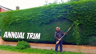 ANNUAL LEYLANDII TRIM IN REAL TIME lewisgardenservicesltd [upl. by Sidhu395]