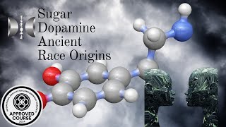 Sugar and dopamine a pathway to freedom Ancient Race Origins [upl. by Nonac]