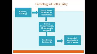 bells palsy [upl. by Aelam]