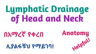 Anatomy ǀ Lymphatic Drainage of Head and Neck Interesting Video with Amharic Speech [upl. by Dayle56]