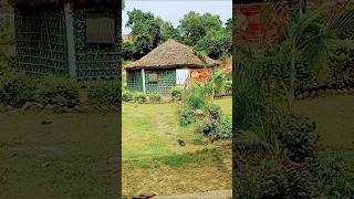 Gori Teri Gaon bada pyara 🌿✨✨ oldisgold song music villagelife viralvideo trendingshorts [upl. by Gan986]