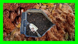 Best Way To Make Soil Acidic Naturally For Blueberries How to Make Blueberries Soil Mix [upl. by Quita831]