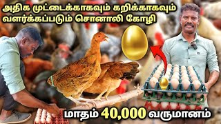 சொனாலி கோழி வளர்ப்பில் மாதம் 40000 வருமானம்  sonali chicken farm in tamil  poultry farm [upl. by Niras]