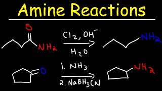 Amine Synthesis Reactions [upl. by Sonja254]