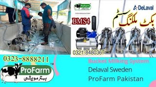 DeLaval Milking Machine  Bucket Milking system  Bodana Dairy Farm Sargodha  ProFarm Pakistan [upl. by Alane]