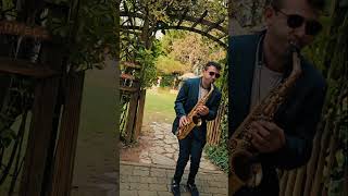 Saxofone no Casamento 🎷🤍 casamento wedding saxophone [upl. by Sacttler675]