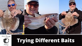 Fishing Near Felixstowe Suffolk Essex Different Baits And A Monster Whiting UK [upl. by Eilla706]