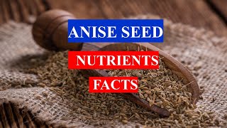 ANISE SEED  HEALTH BENEFITS  NUTRITION FACTS AND MEDICINAL USES [upl. by Assilym]