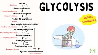 Glycolysis  Made easy in just 5 min  Biochemistry  Medinare [upl. by Yusem]