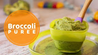 Broccoli Puree For 6 Month Old Baby  Broccoli puree recipe [upl. by Eyr]