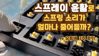 스프레이 윤활로 스프링 소음이 얼마나 줄어들까  유튜버 3주 후기  스프레이 윤활  Super Lube [upl. by Smada]