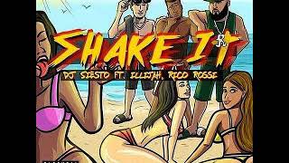 DJ Siesto Ft ILLiJah amp Rico Rossi  Shake It [upl. by Htiel]