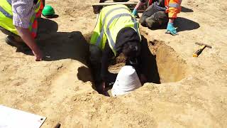 Archaeological excavation lifting up a Bronze Age Urn at barrow cemetery Sellindge Kent UK [upl. by Anoiuq]