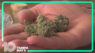 Proposal to legalize recreational marijuana in Florida fails to pass advocates react [upl. by Aneela662]