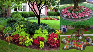 50 Beautiful Garden Flower Beds Around Trees  Landscaping Under Trees [upl. by Silda]