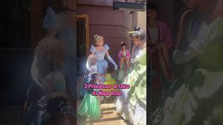 3 Princesses at Napa Rose Disney princess adventure breakfast disneyland disneyprincess [upl. by Nahrut]