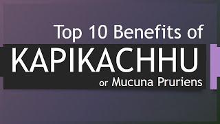 Top 10 Benefits of Kapikachhu  Health benefits of Kapikachhu  Herb Kapikachhu [upl. by Gnov]