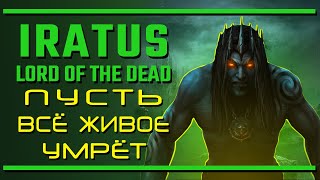 Iratus Lord of the Dead  ПОЧТИ НЕ русский клон Darkest Dungeon [upl. by Navaj]