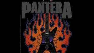 Pantera  Cat Scratch Fever w lyrics [upl. by Enyawal608]