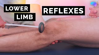 Reflexes of the Lower Limbs  OSCE Clip  UKMLA  CPSA [upl. by Ylrebmi]