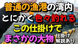 どこにでもある普通の漁港の湾内！とにかく色々釣れるこの仕掛けでまさかの大物！（杓サビキ仕掛け解説あり） [upl. by Tolmann]